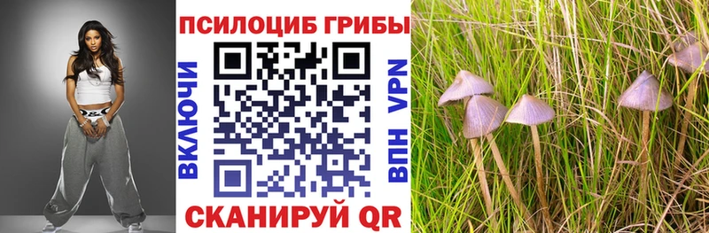 Купить  Ногинск  Галлюциногенные грибы Psilocybe 